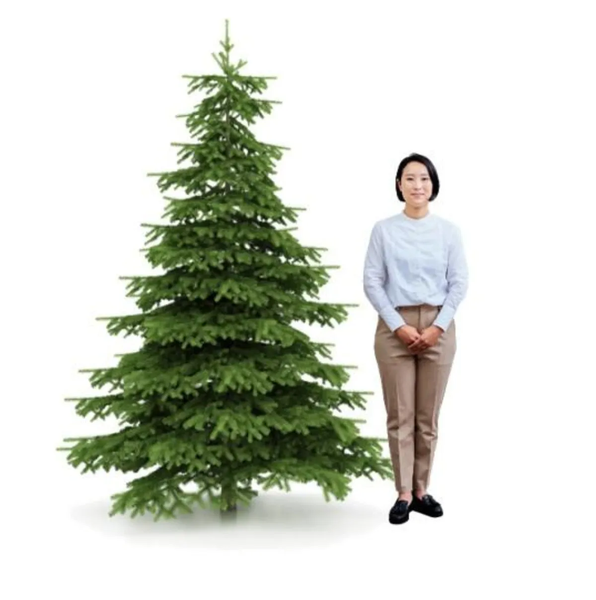 クリスマスツリー＃3