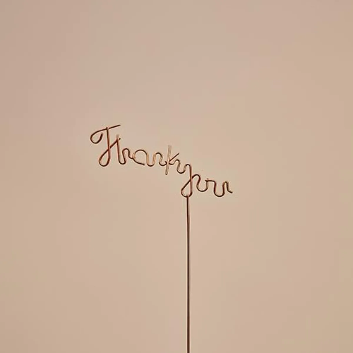 メッセージピック《Thank you（S）》