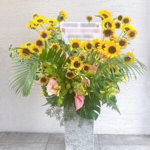 夏のオススメアイテム